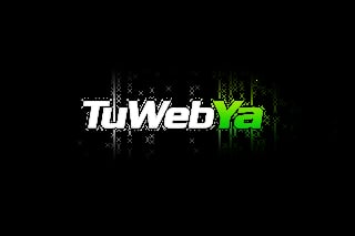 TuWebYa logo with white and green text on black background with digital matrix effect